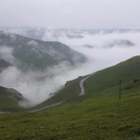 供应淀粉胶，白胶